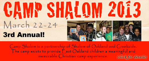 Camp Shalom 2013 Button